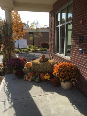 Fall