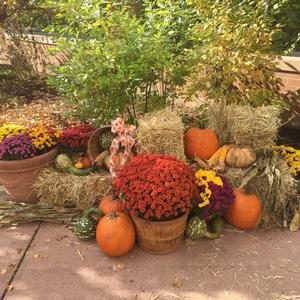 1 Fall decorations
